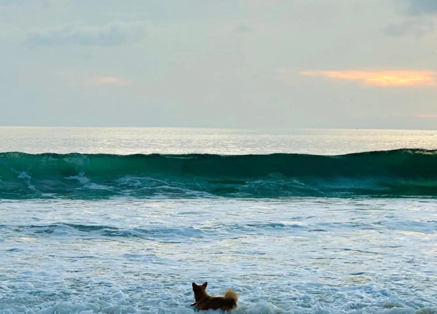 Liv Inn Iyra - Boutique Stay Varkala
